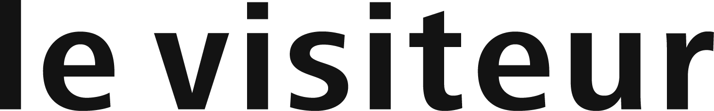 levisiteur logo